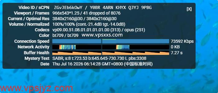 VPS.CAT美国NTT双ISP VPS看youtube