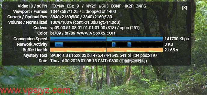 OneTechCloud德国VPS看youtube