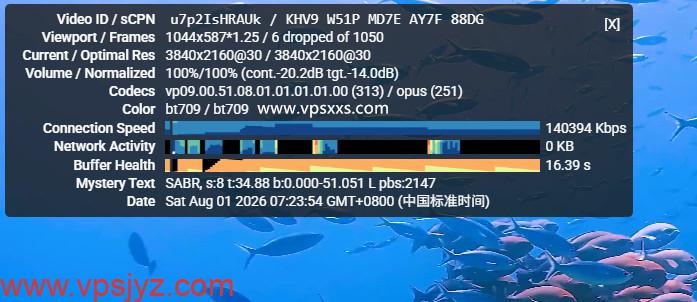 ZgoCloud德国AMD VPS看youtube