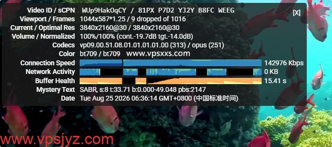 极点云香港CMI VPS看youtube