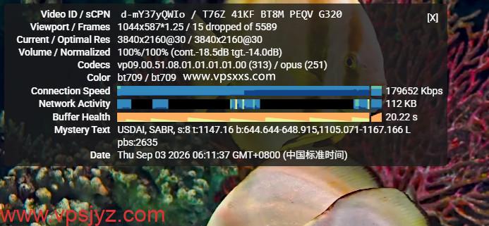 丽萨主机德国9929 VPS看youtube