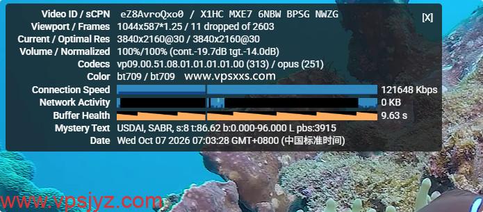 ServerHost美国纽约VPS看youtube
