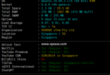 V.PS新加坡高性能VPS测评:看视频37万+速度,往返电信CN2 GIA联通9929移动CMIN2,晚高峰不丢包_vps加油站